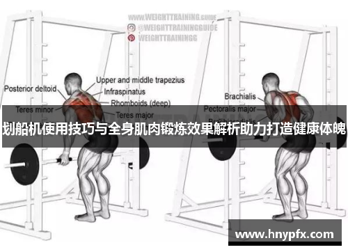 划船机使用技巧与全身肌肉锻炼效果解析助力打造健康体魄
