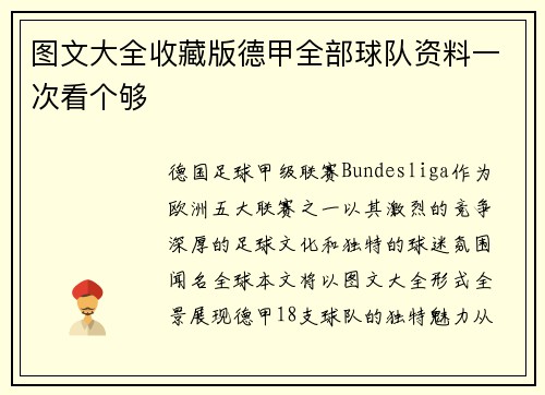 图文大全收藏版德甲全部球队资料一次看个够